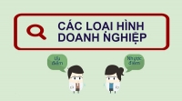 Tìm hiểu các loại hình công ty ở Việt Nam